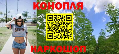 шишки Бузулук