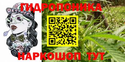 шишки Бузулук