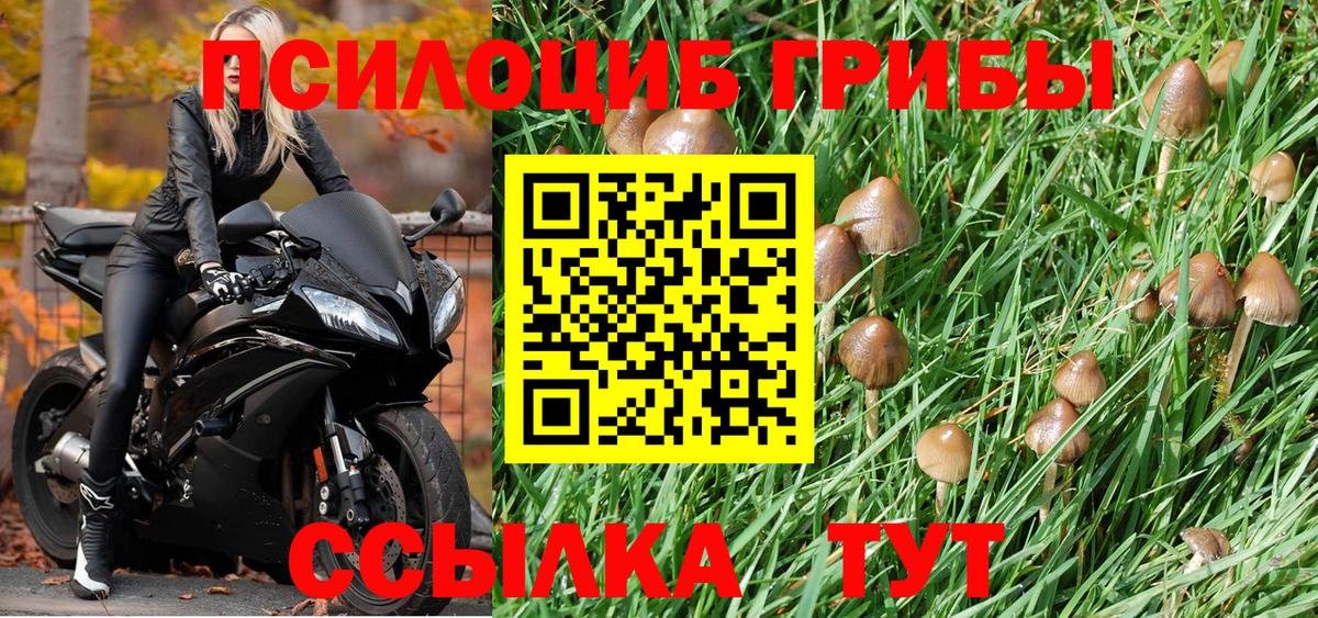 Галлюциногенные грибы ЛСД Рязань