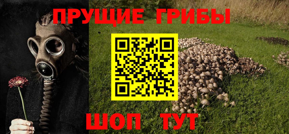 Рязань  Галлюциногенные грибы Magic Shrooms  Вход с VPN 